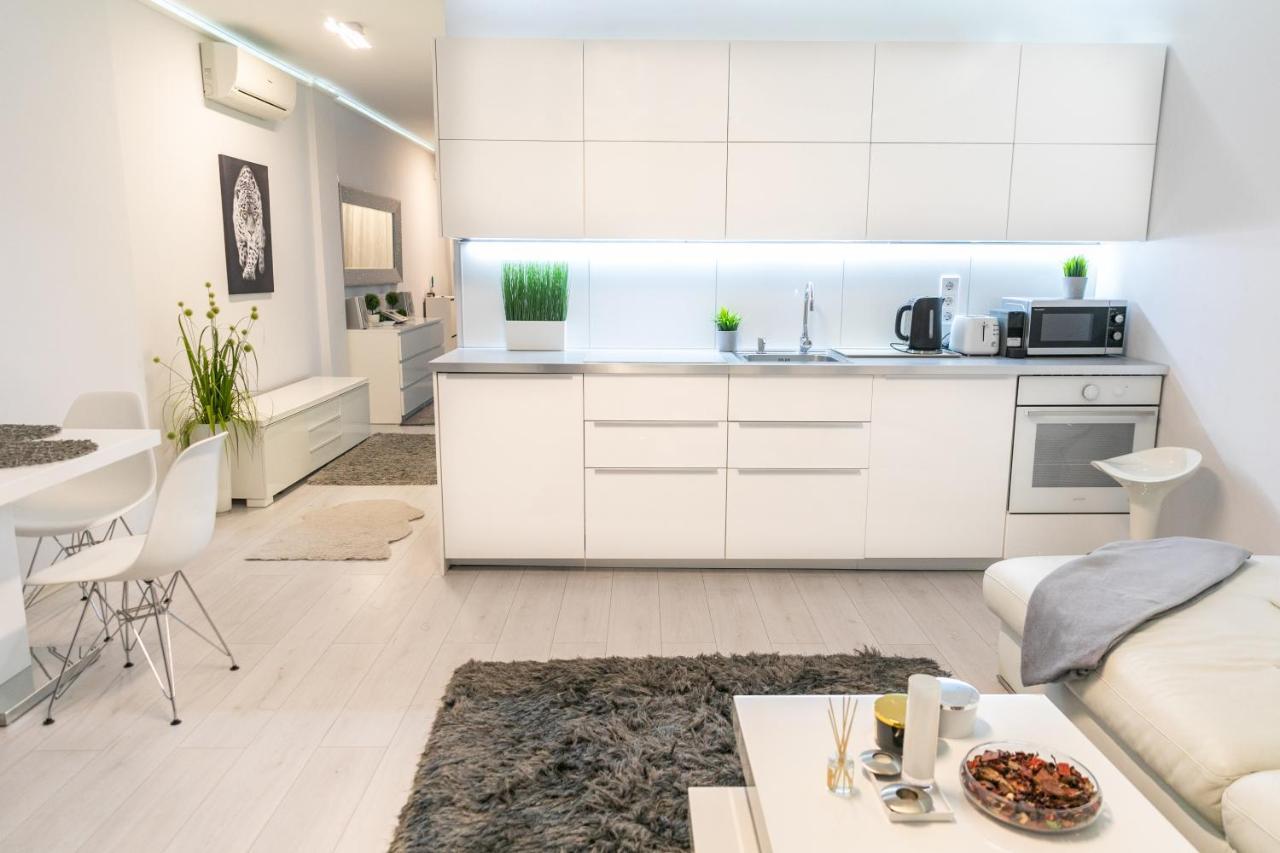 Castle Apartment In The Center 부다페스트 외부 사진