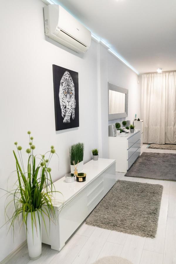 Castle Apartment In The Center 부다페스트 외부 사진