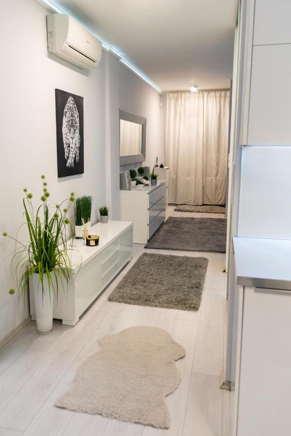 Castle Apartment In The Center 부다페스트 외부 사진