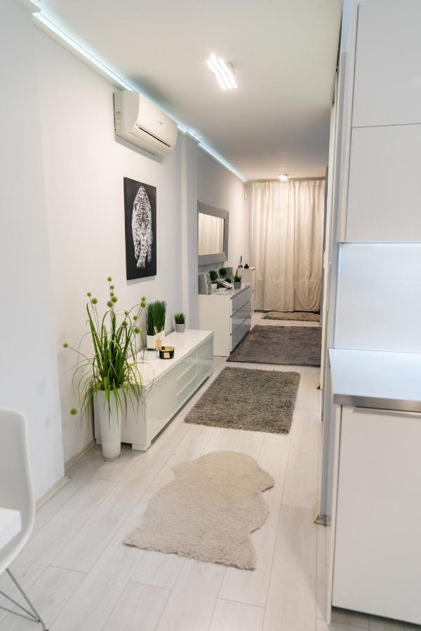 Castle Apartment In The Center 부다페스트 외부 사진