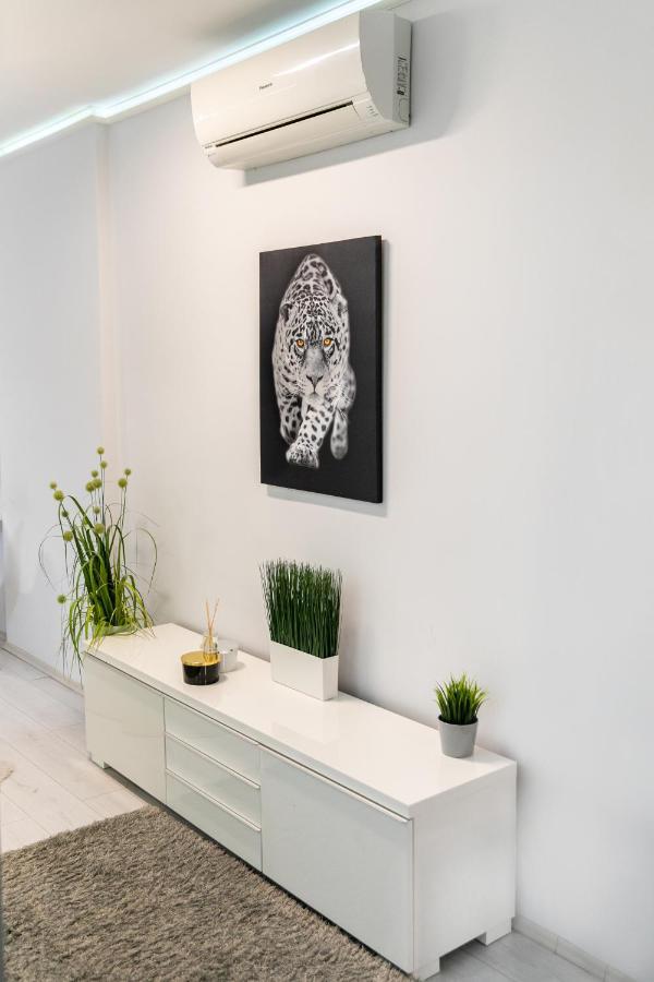 Castle Apartment In The Center 부다페스트 외부 사진