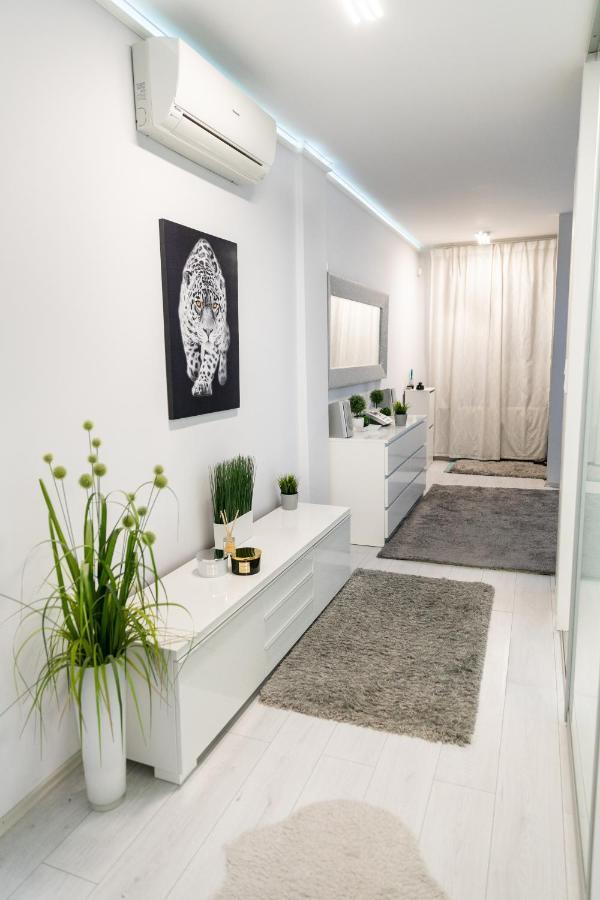 Castle Apartment In The Center 부다페스트 외부 사진